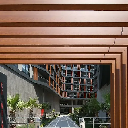 Coordinat Suits İzmir